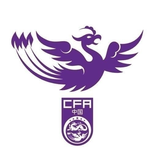  津媒：两战日本1胜1平，这支中国U17女足国家队具备极大潜力